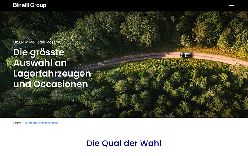 Webprojekt Fahrzeugfinder für Binelli | Applikationen