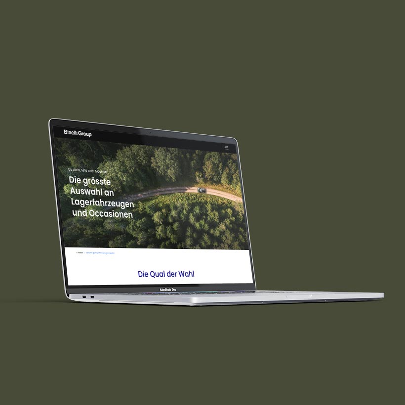 Webprojekt Fahrzeugfinder für Binelli | Applikationen