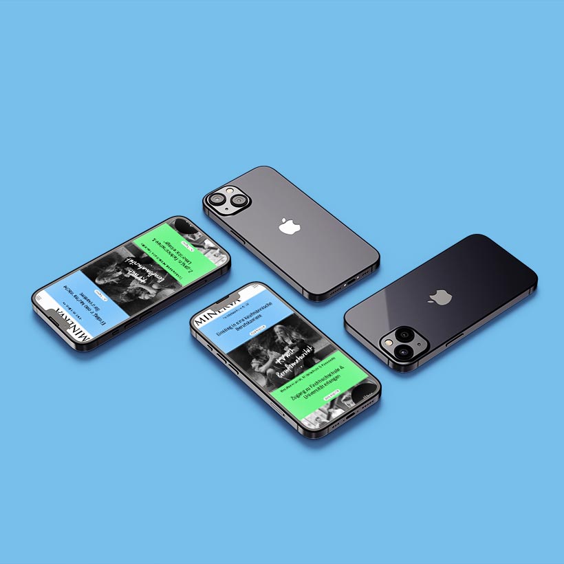 Webprojekt Minerva | Weiterbildung